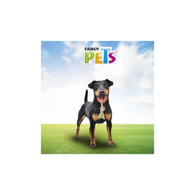Fancy Pets Juguete de Cuerda con Aro de Caucho