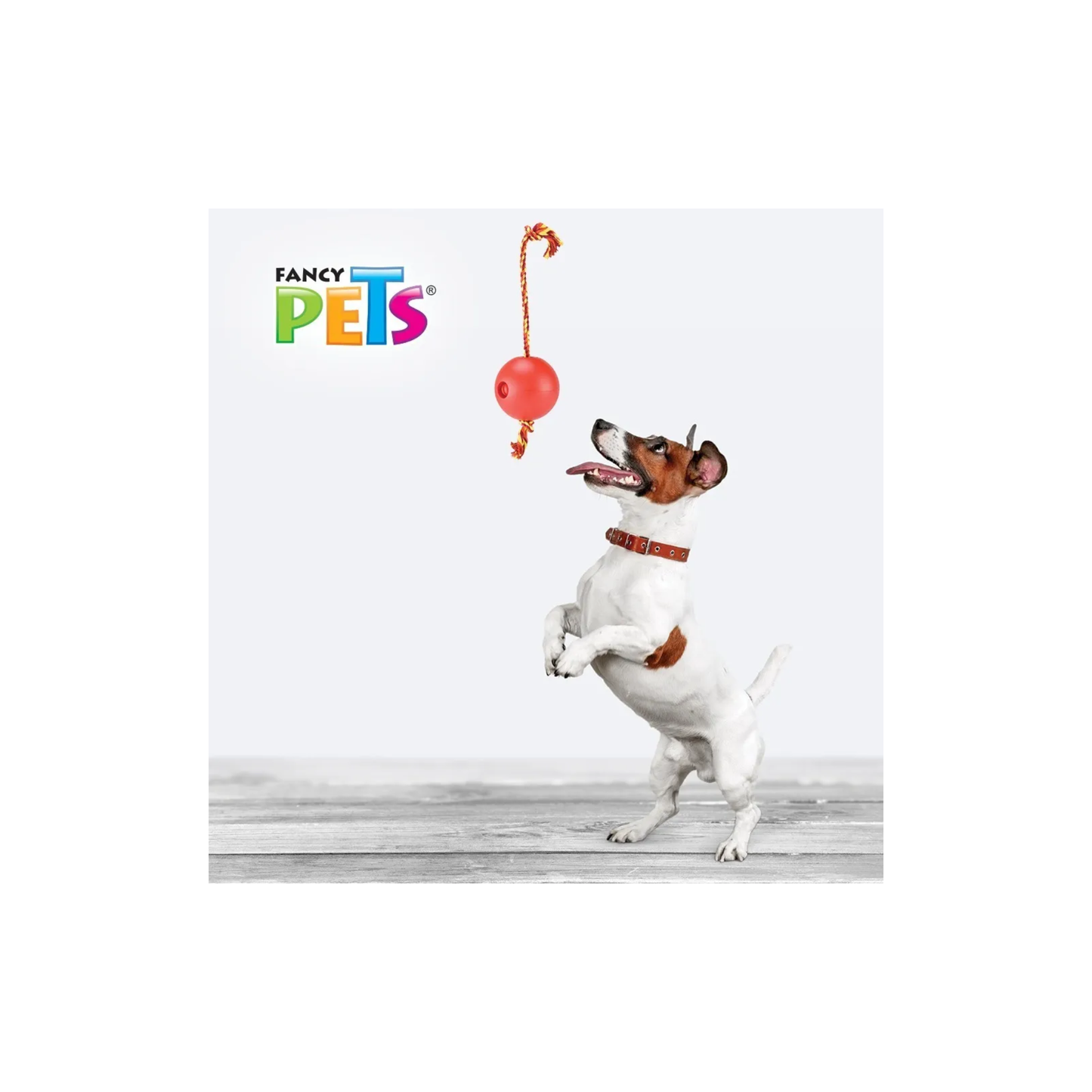 Fancy Pets Juguete Bola Rellenable Chico