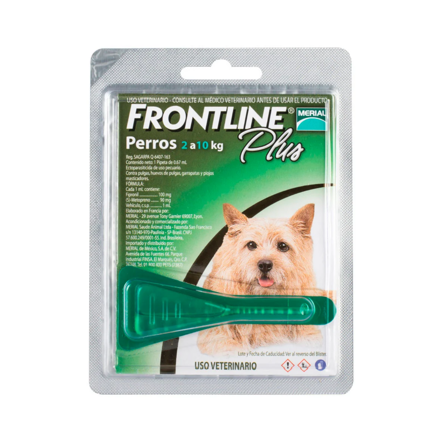 Frontline Plus Antipulgas y Garrapatas para Perros de 2-10 kg 1 Pipeta 0.67 ml