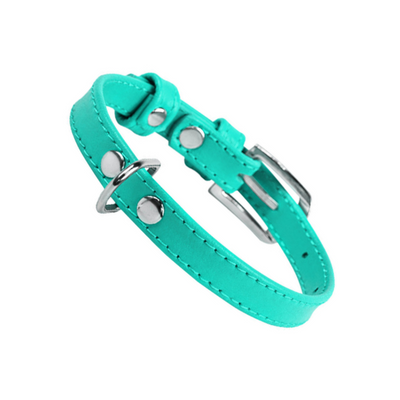 Glamour Collar Plano Color Menta Talla Chico