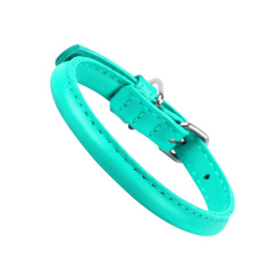 Glamour Collar Redondo Color Menta Talla Chico