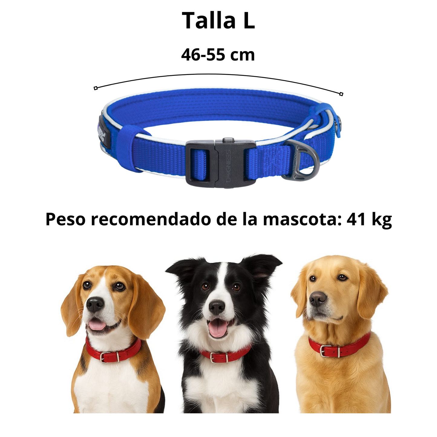 Dogness Collar Reflectivo Color Azul Para Perro Talla L