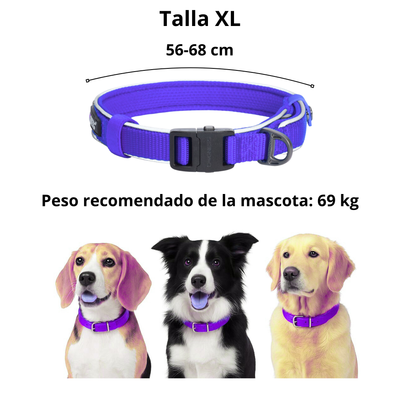 Dogness Collar Reflectivo Color Azul Para Perro Talla XL