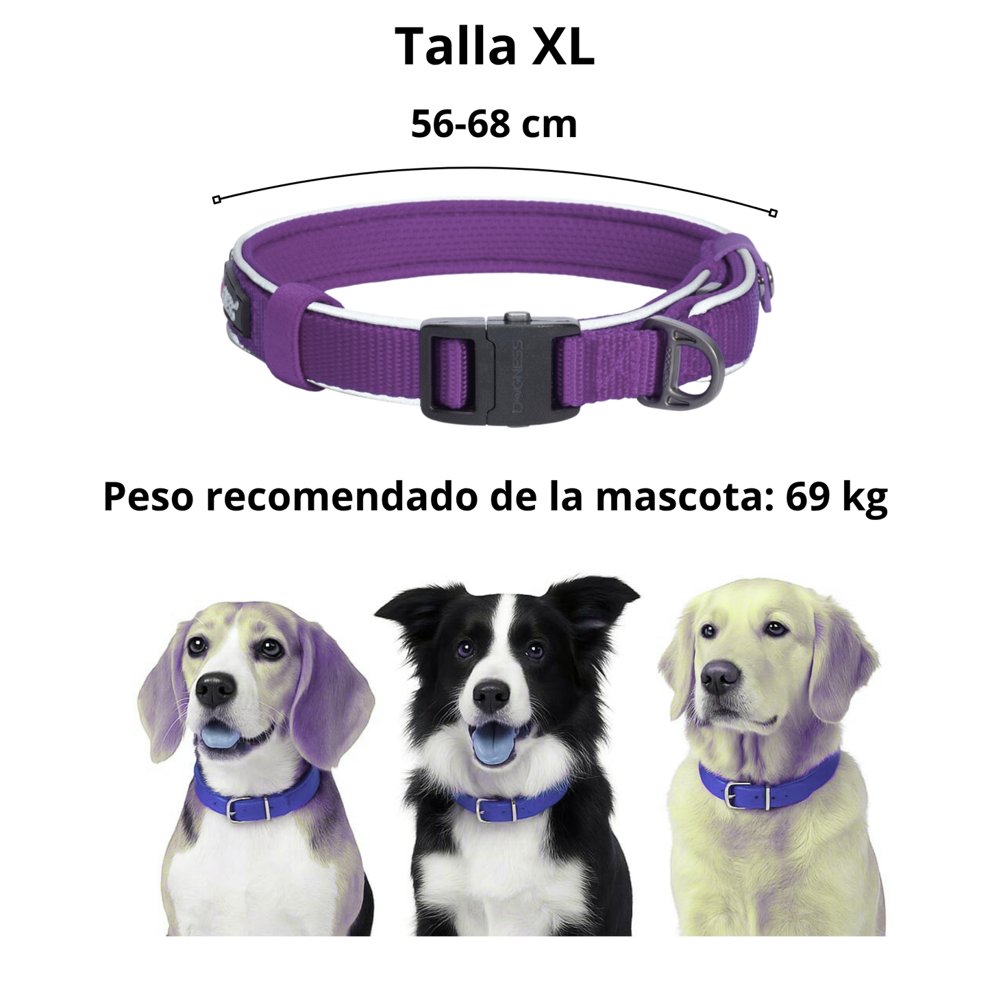 Dogness Collar Reflectivo Color Morado Para Perro Talla XL