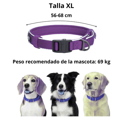 Dogness Collar Reflectivo Color Morado Para Perro Talla XL