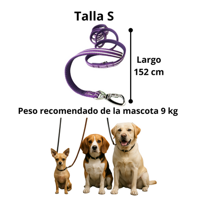 Dogness Correa Multifuncional Color Morado Para Perro Talla M