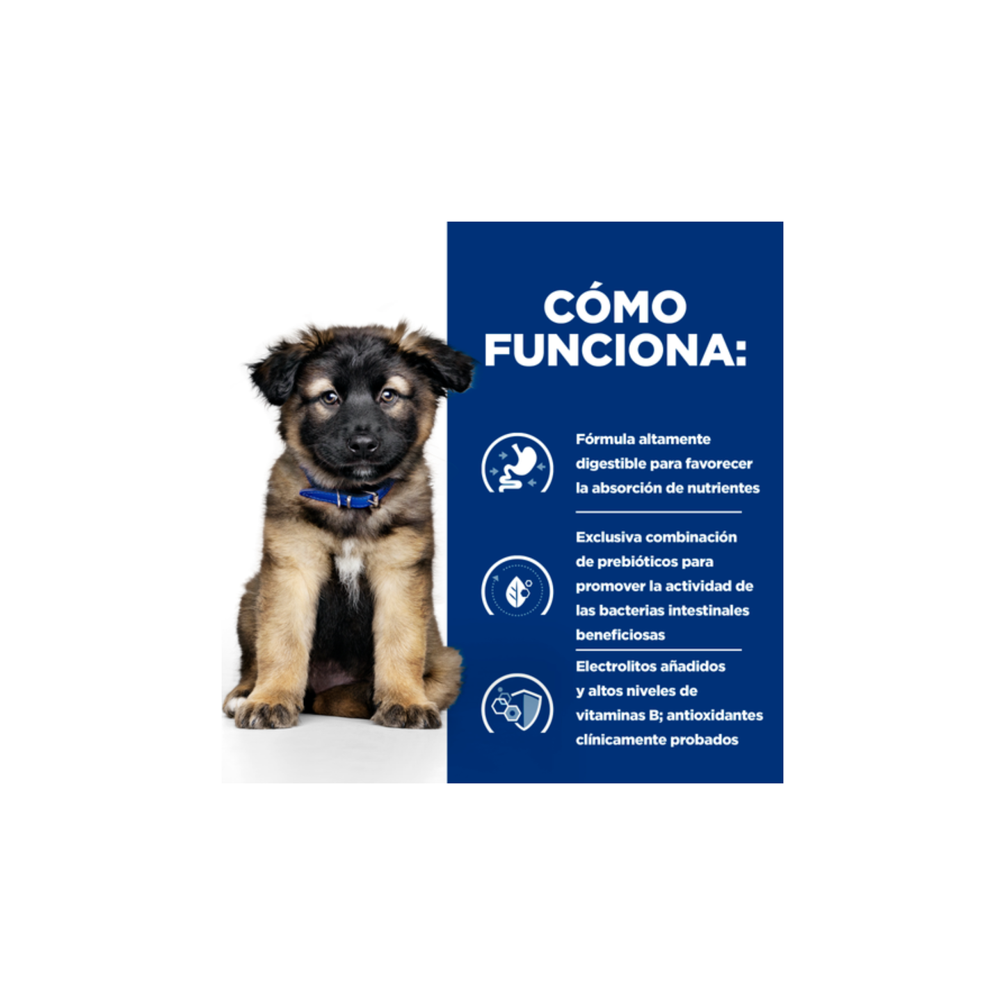 Hill´s Prescription Diet i/d Puppy Cuidado Digestivo Perro 3.8 Kg