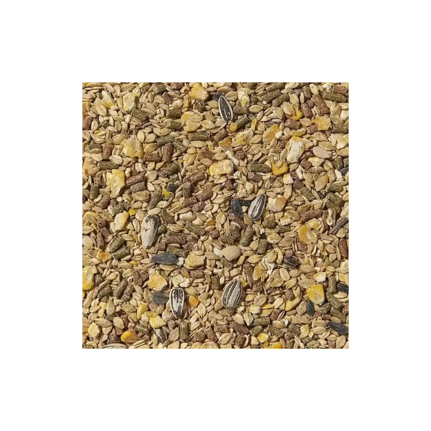 Alimento para Hamster