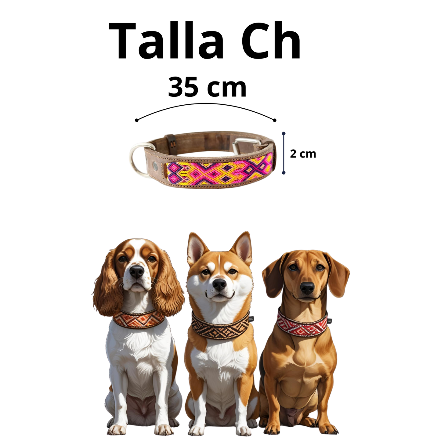 Kybopet Collar Artesanal Color Morado Para Perro Talla Chica