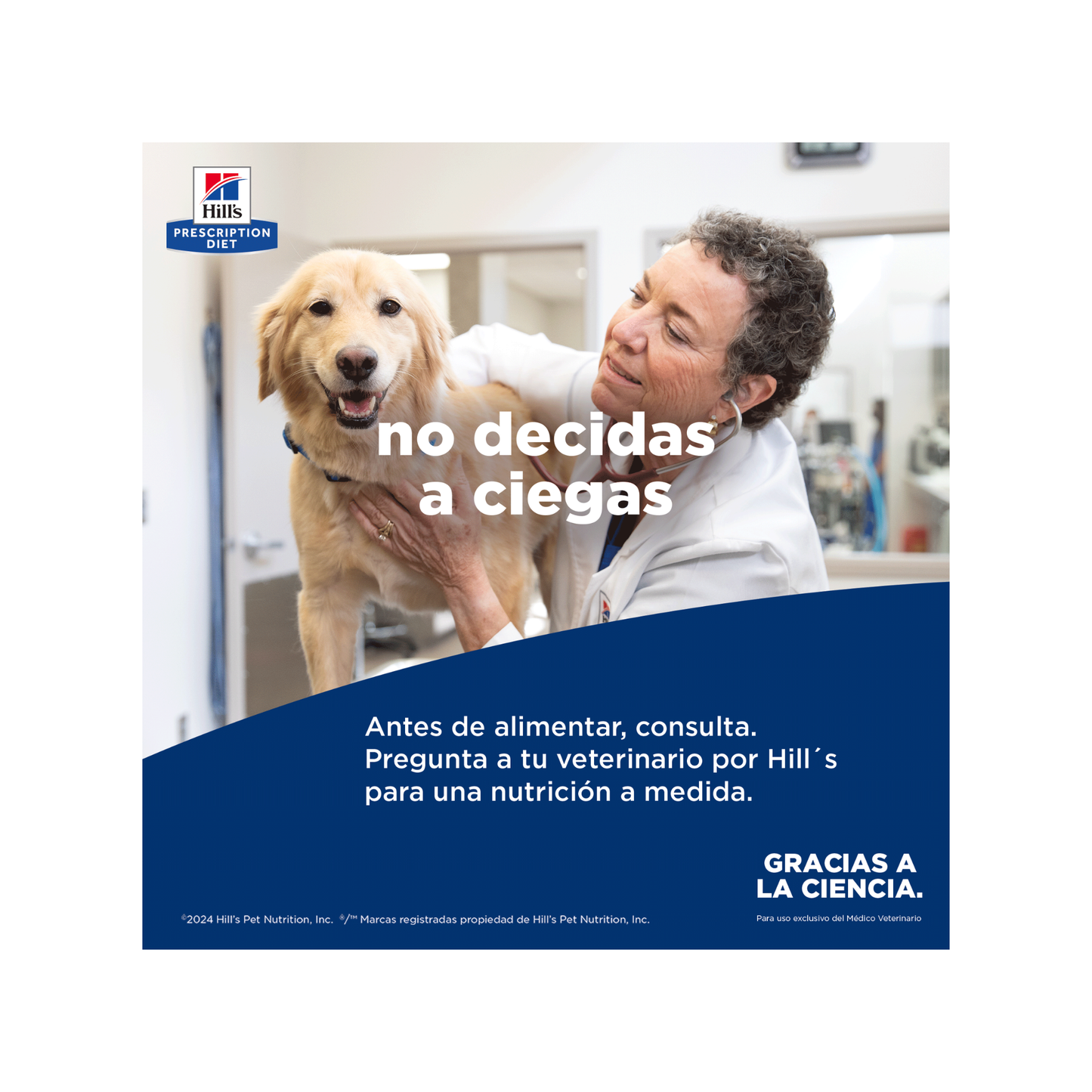 1 Lata Hill's Prescription Diet Alimento Húmedo para Perro Gastrointestinal Biome Digestive Fiber Care Chicken and Vegetable Stew 354 g