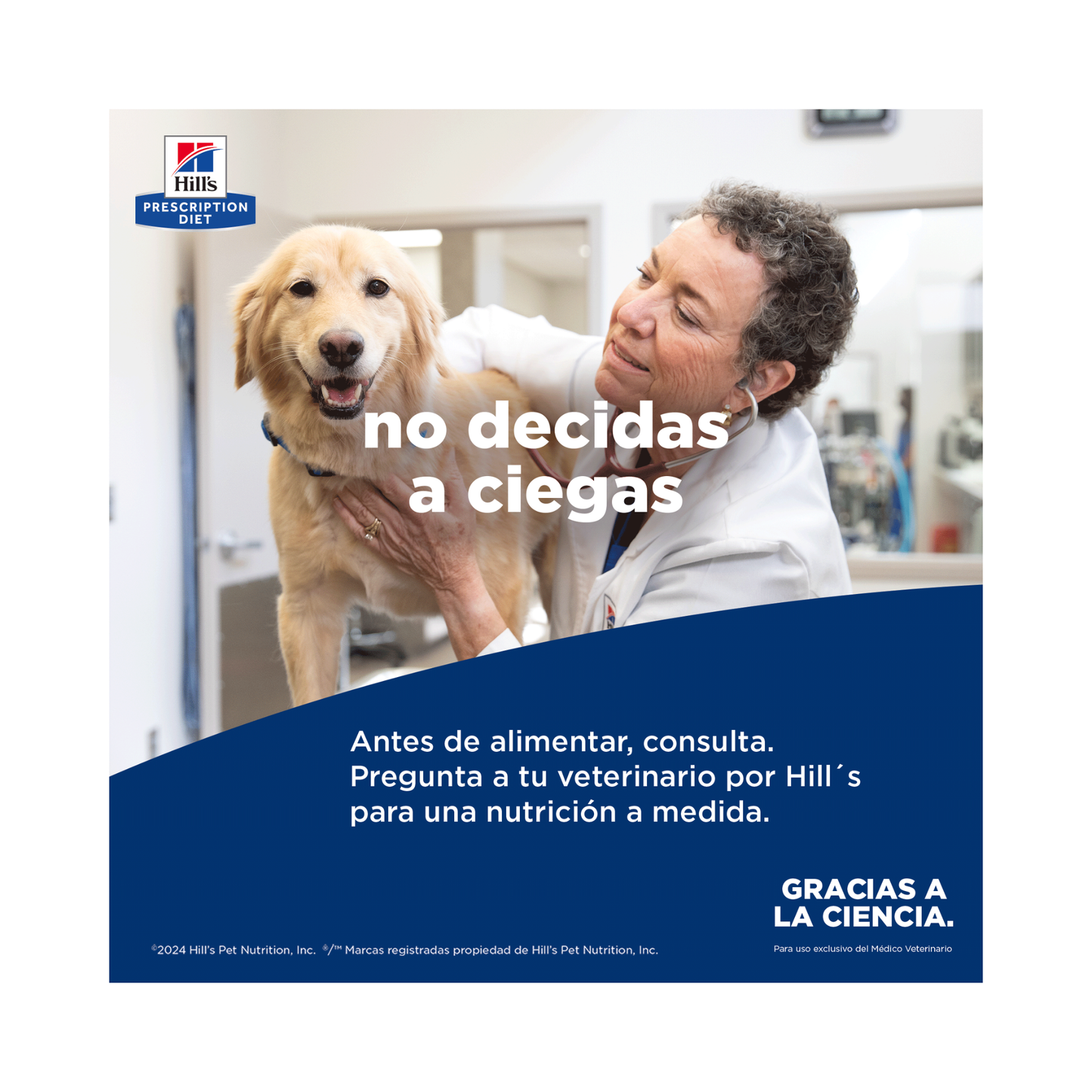 12 Latas Hill's Prescription Diet Alimento Húmedo para perro, Derm Complete Rice and Egg Recipe Canned Dog Food, 370g