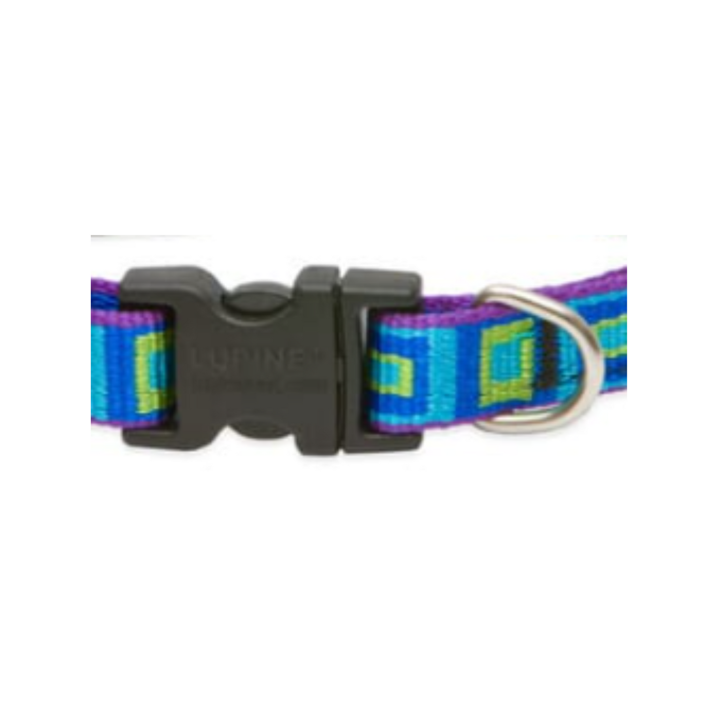 Lupine Pet Collar Color Azul de Cuadros con Broche para Perro Talla Chico 20 a 30 cm