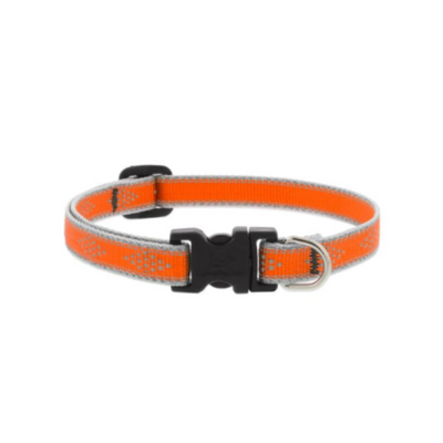 Lupine Pet Collar Color Naranja Neón Con Broche Para Perro Talla Chico 20 a 30 cm