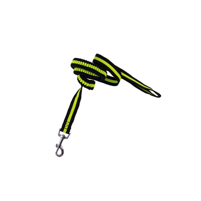 Mr Wuff Correa Elástica Color Verde Para Perro