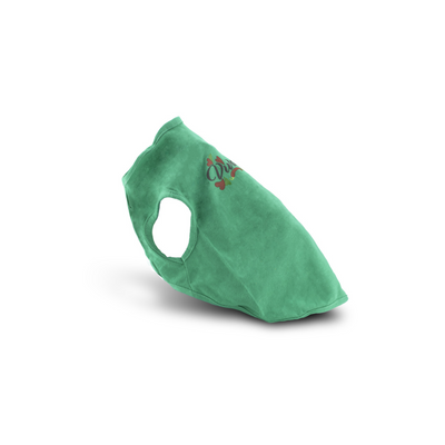 Naughty Dog Playera Color Verde con Estampado Viva México Talla G