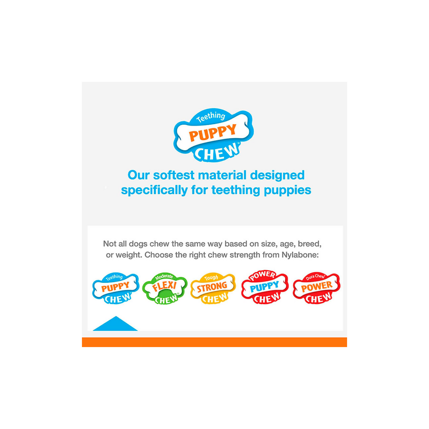 Nylabone Hueso Masticabale Chico Color Azul para Perro Cachorro Sabor Pollo