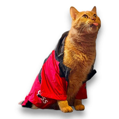 Chamarra para perros