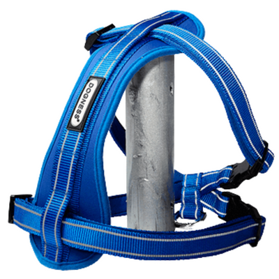 Pechera Perro Grande