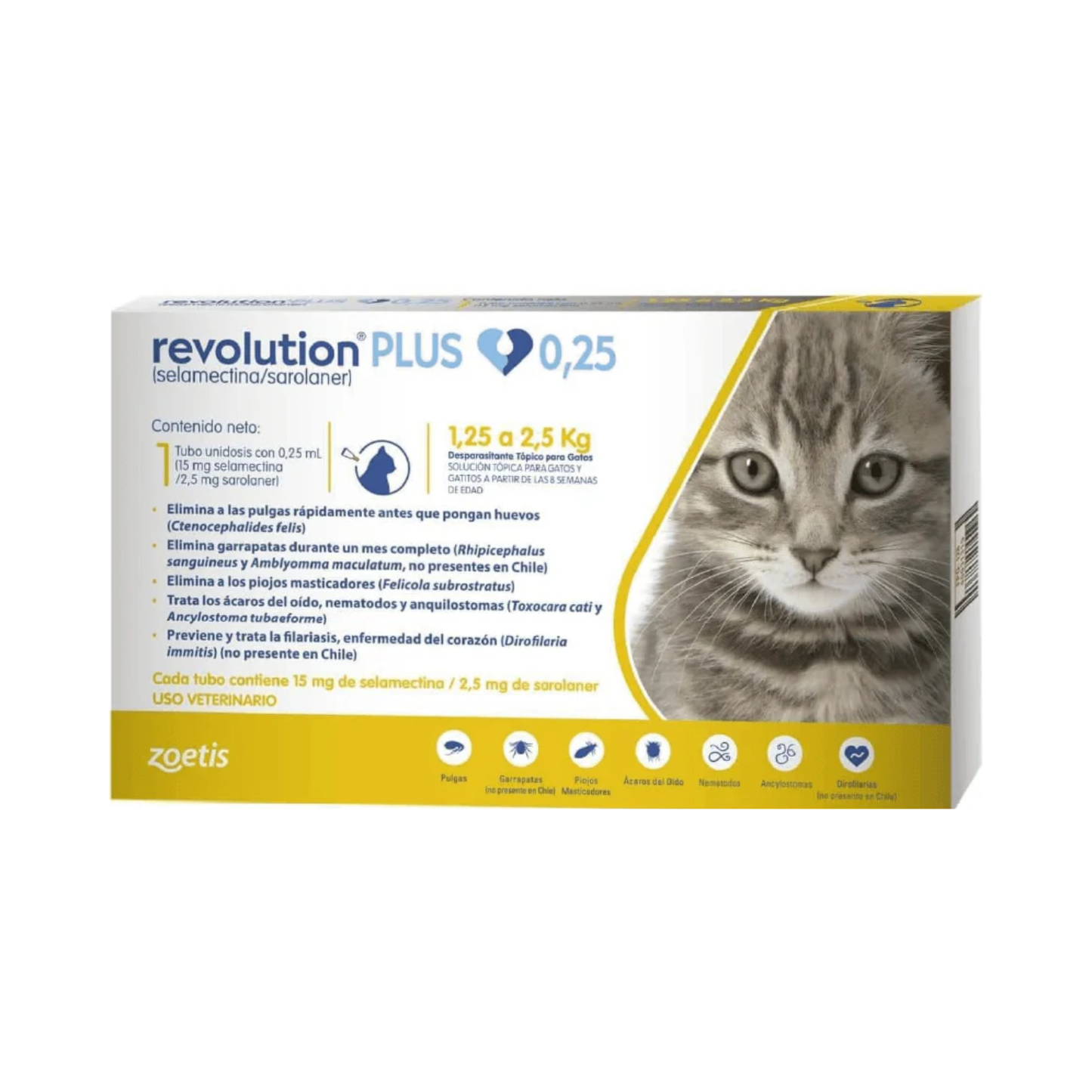Revolution Plus Gatos