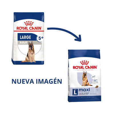 Royal Canin Senior