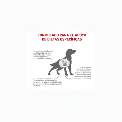 alimento hepático para perros