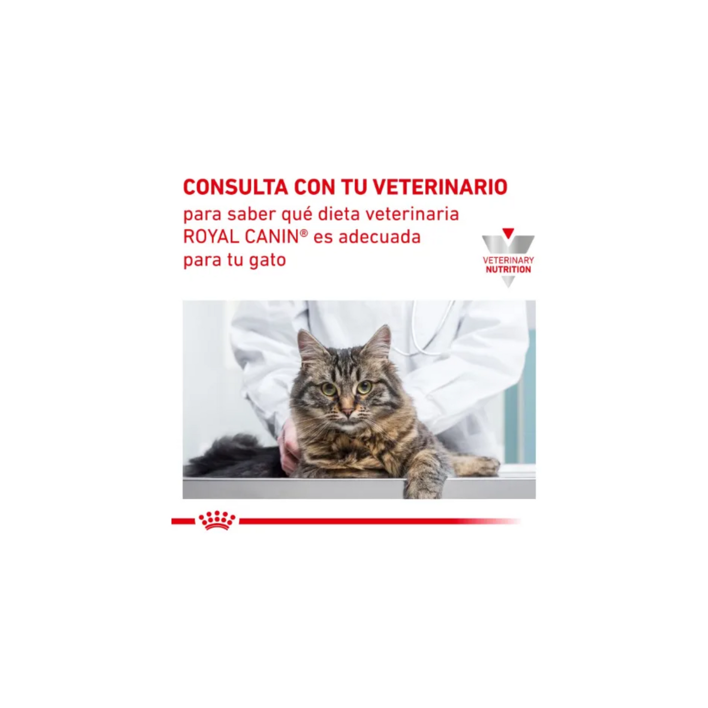 Royal Canin Vet Felino Adulto Mature Consult Moderate Calorie Alimento para Gatos Senior Moderado en Calorias 2 Kg