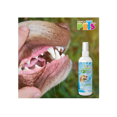 Aplicación del Spray Dental Ultra Fancy Pets sobre los dientes de la mascota