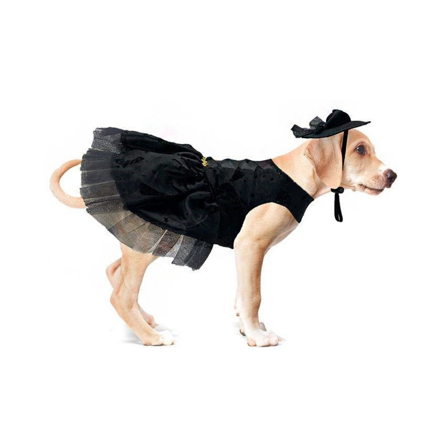 Toutmignon Disfraz de Viuda Negra Talla 0