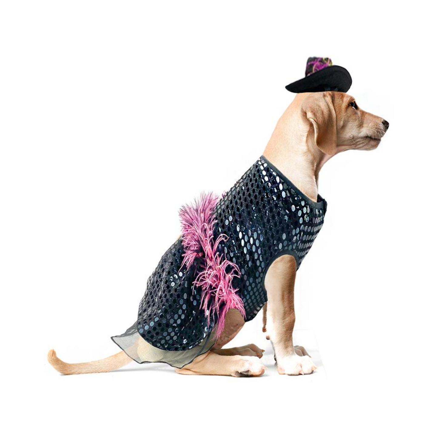 Toutmignon Vestido de Catrina Color Negro con Rosa Talla 0