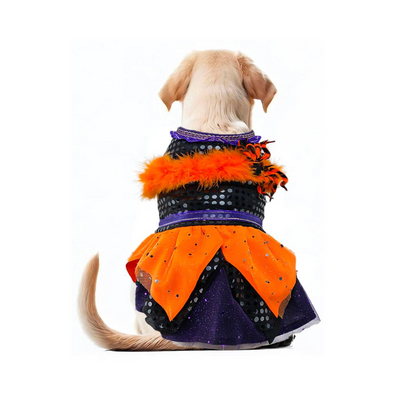 Toutmignon Vestido de Halloween Color Negro, Naranja y Morado con Araña Talla 0