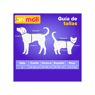 Toutmignon Abrigo Michael Talla 2