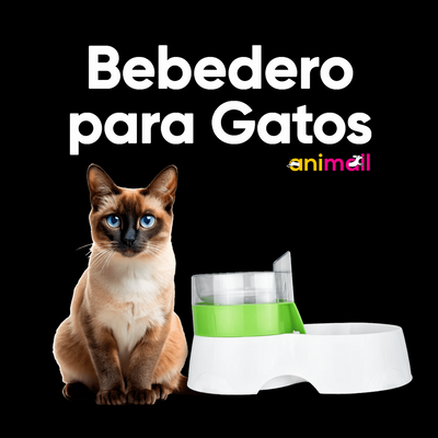 bebedero para gatos