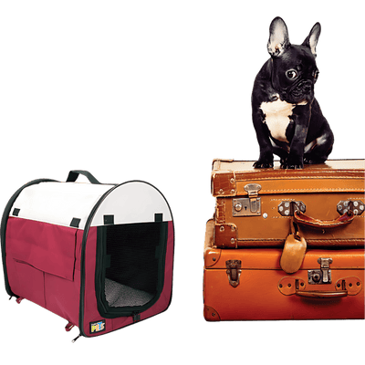 casa para perro chico