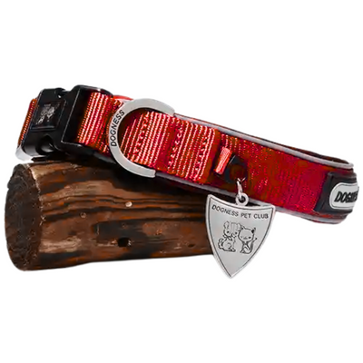 collar rojo para perro