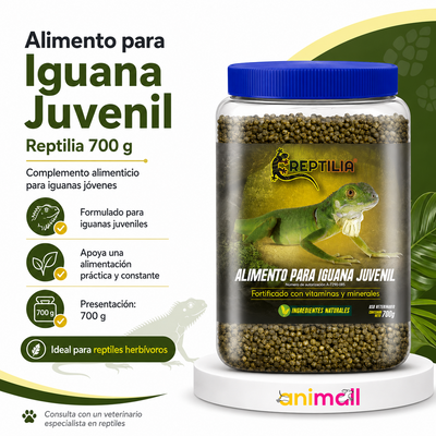 alimento para iguanas