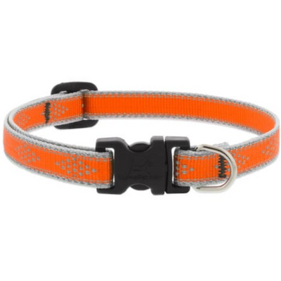 Lupine Pet Collar Color Naranja Neón Con Broche Para Perro Talla Grande 41 a 71 cm