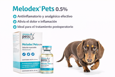 meloxicam para perros