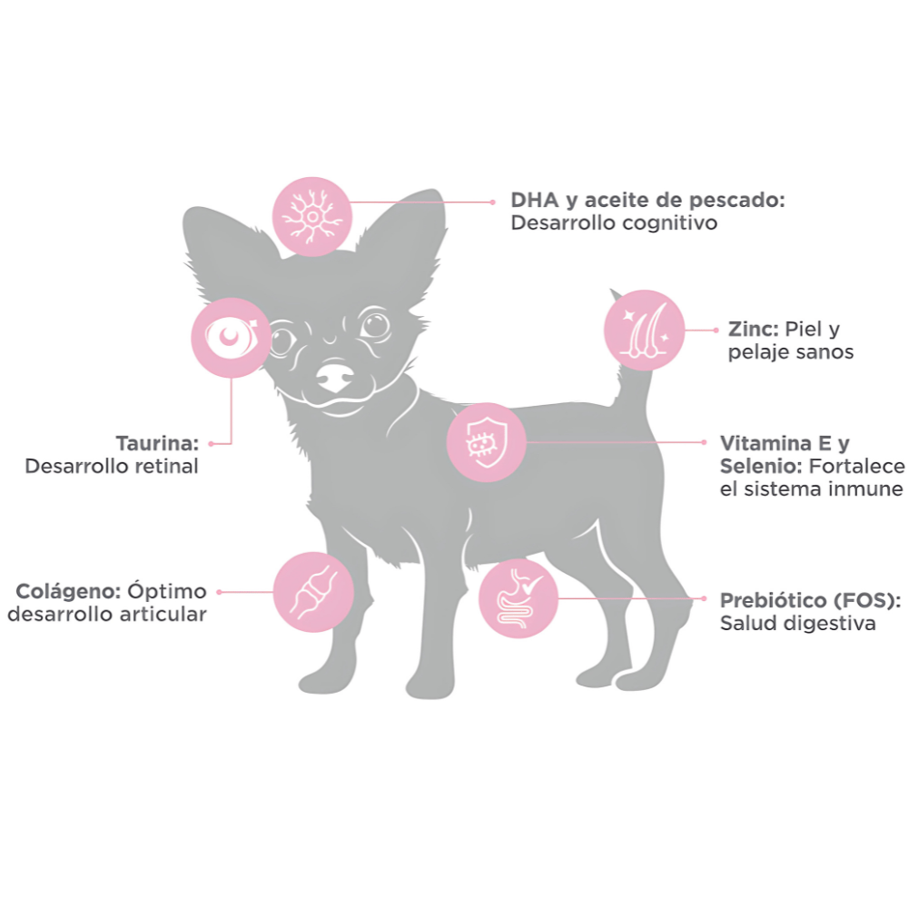 Nupec Perro Cachorro Razas Mini 1 Kg - AniMALL