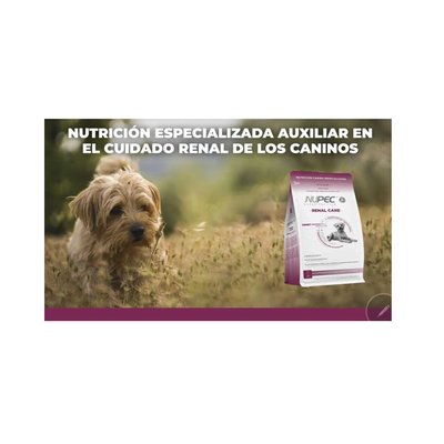 Nupec Renal