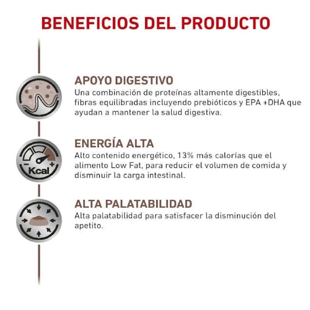 royal canin gastro intestinal
