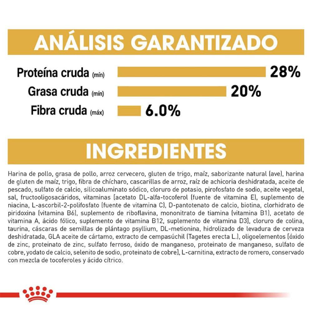 alimento royal canin para gatos persas