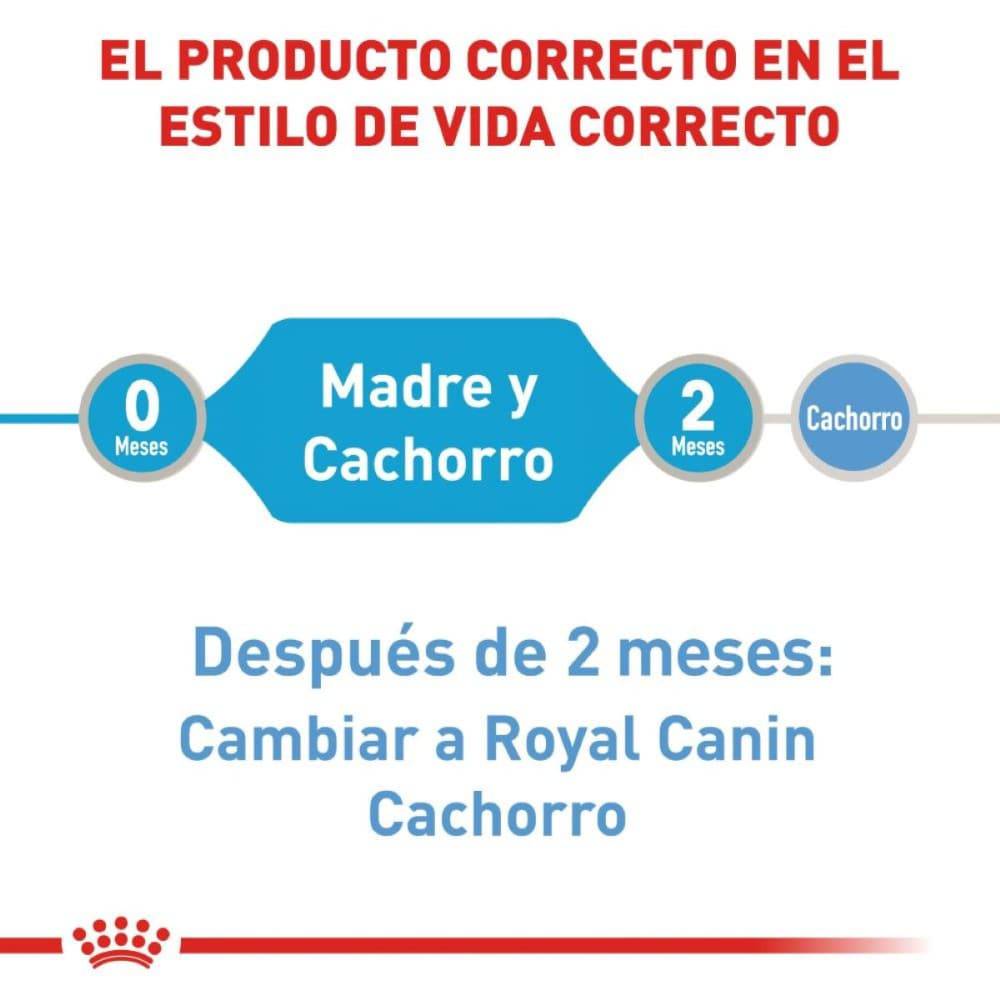 Royal Canin Starter