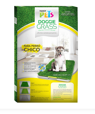 tapete pasto para perros