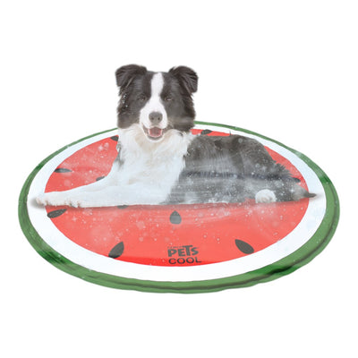 tapete refrescante para perro