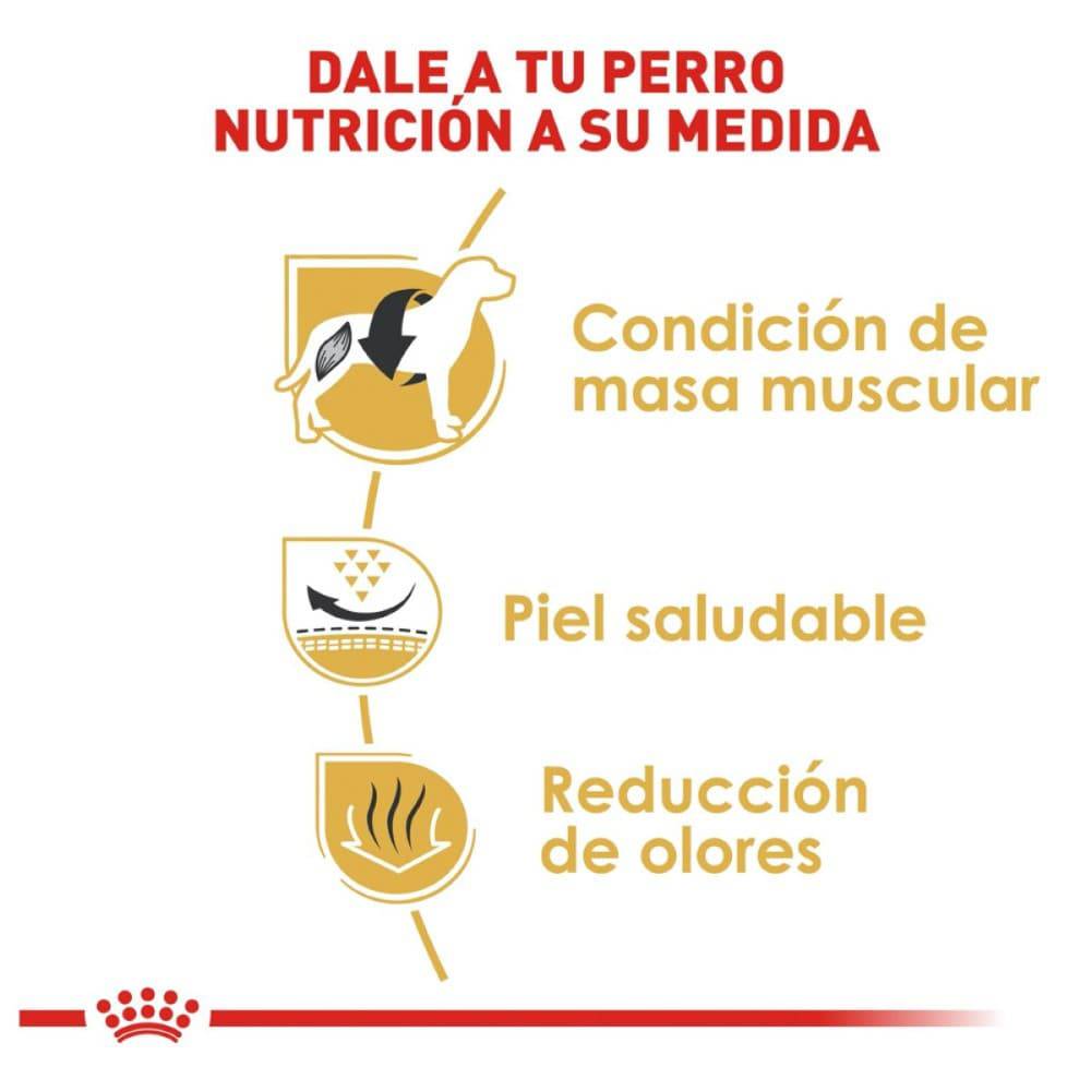 croquetas para bulldog frances