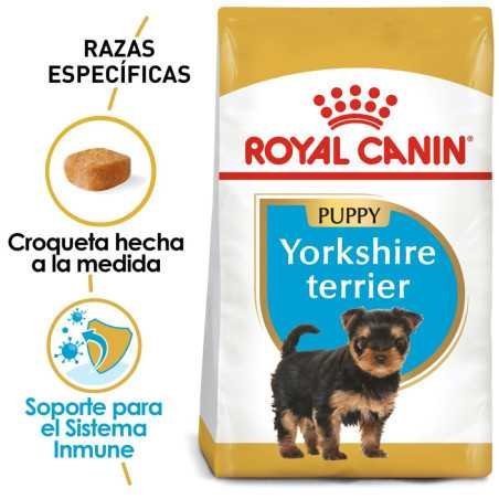 Royal Canin Alimento Seco para Perro Yorkshire Puppy - 1 Kg