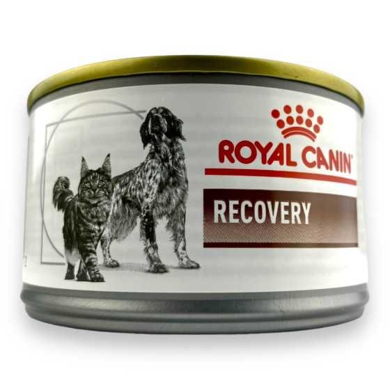 1 Lata Royal Canin Perro y Gato Recovery - 145 GR