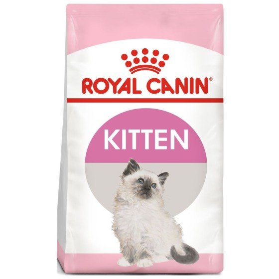 Royal Canin Gato Kitten 3.1 Kg.