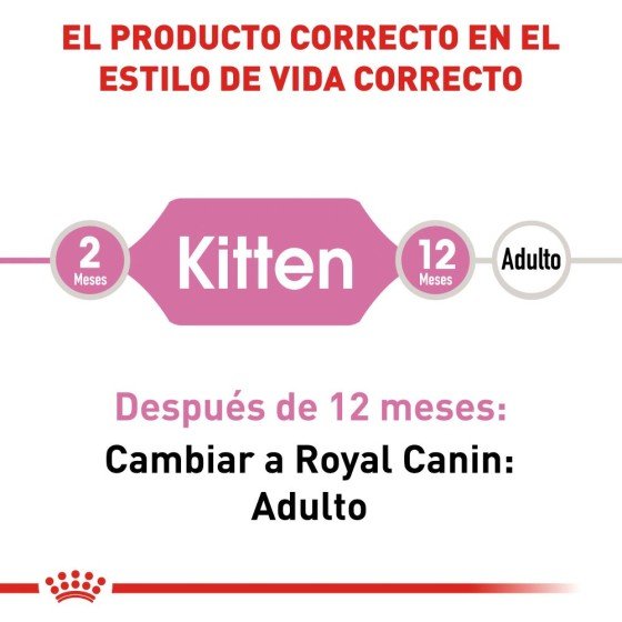Royal Canin Gato Kitten 3.1 Kg.