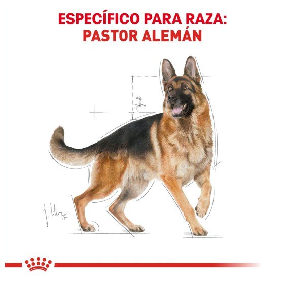 Royal Canin Adulto Pastor Alemán, 13.6 Kg.